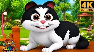 Thumbnail: Meow Meow Billi Kerti Meow | म्याऊँ म्याऊँ बिल्ली करती म्याऊँ | Hindi Rhyme | Nursery Rhyme for Kids