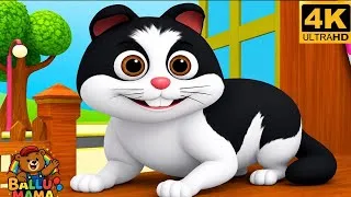 Thumbnail: Meow Meow Billi Kerti Meow | म्याऊँ म्याऊँ बिल्ली करती म्याऊँ | Hindi Rhyme | Nursery Rhyme for Kids