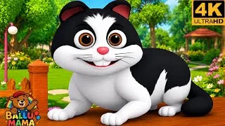 Thumbnail: Meow Meow Billi Kerti Meow | म्याऊँ म्याऊँ बिल्ली करती म्याऊँ | Hindi Rhyme | Nursery Rhyme for Kids
