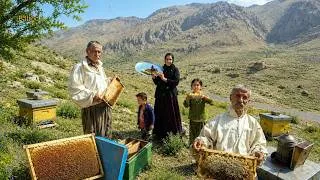Thumbnail: The secret to harvesting pure honey from nomadic hives; nature's sweet gold
