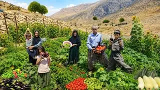 Thumbnail: Harvesting green gold from the nomads' paradise garden after the previous day's rain