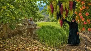 Thumbnail: Organic Fruit Harvest: Walnuts, Peaches, and Grapes | Nomadic Life Far from Civilization🌰⛰️🍇🍑