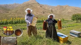 Thumbnail: Harvesting wild honey in the Zagros Mountains | Nomadic life far from civilization 🍯🐝⛰️