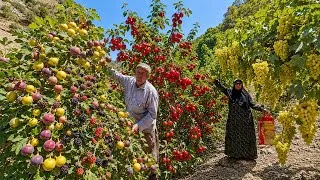 Thumbnail: The Hidden Secret of Harvesting Wild Fruits in Zagros Mountains | Traditional Nomadic Life🍈🍒🍇⛰️