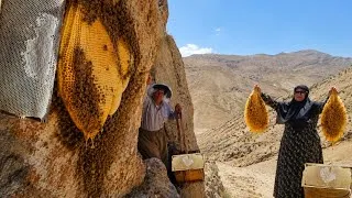 Thumbnail: 🐝🍯 Hunting wild honey in the dangerous Zagros Mountains | Survival skills in nomadic life⛰️🐝
