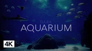 Thumbnail: Relaxing Dark Aquarium Ambience in 4k - Underwater Soundscape - No Music