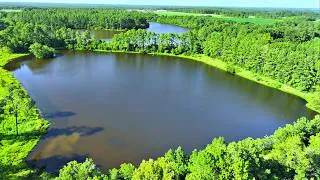 Thumbnail: Restoring a 50 Year Old Abandoned Pond! (Next Big Project)