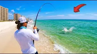 Thumbnail: MASSIVE Fish Behind Condos on This Public Beach!