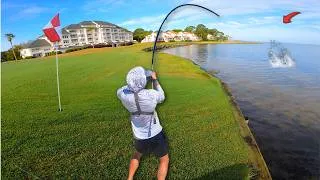 Thumbnail: Topwater Bay Fishing on a Golf Course...Didn't Know I Needed This