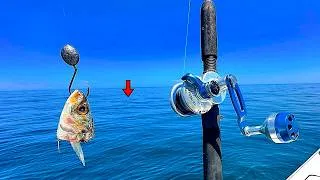 Thumbnail: I Dropped Cut Bait 100FT Deep and Caught My Biggest One Yet for Dinner!