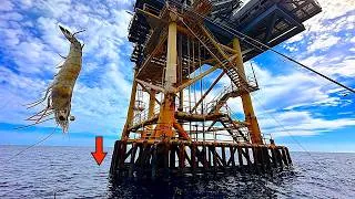 Thumbnail: These were the GAS RIG Fish I Wanted to Catch for DINNER!