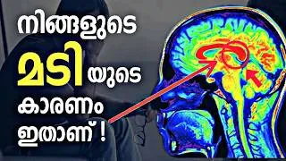Thumbnail: മടിയാണോ നിങ്ങളുടെ പ്രശ്നം ? ഇത് മനസ്സിലാക്കിയാൽ ഇനി നിങ്ങൾ മടിപിടിച്ചിരിക്കില്ല