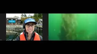 Thumbnail: BMSCLive! Plastic waste in bad taste: a look at ocean plastics (Science Literacy Week 2022)