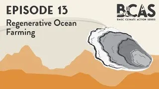 Thumbnail: BCAS Episode 13: Regenerative Ocean Farming