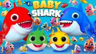 Thumbnail: Swimming with Baby Shark | Kids Nursery Rhyme | Kids Songs | Banana Cartoon #nurseryrhymes