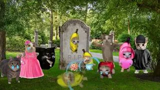 Thumbnail: The Lohagad Fort trip of Banana Cat & Revenges Rose Cat & Elgato 😼😠