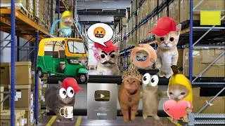 Thumbnail: 1M Subscribers YouTube Gold Play Button Creators Award for Banana Cat 🥳🎉
