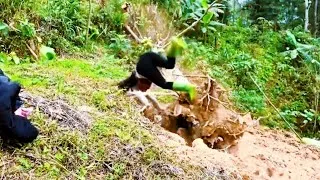 Thumbnail: Full video: Farm vehicle transporting a girl logging alone.
