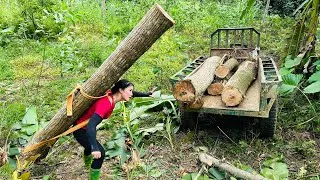 Thumbnail: Agricultural vehicle transports a girl who single-handedly transports giant logs.