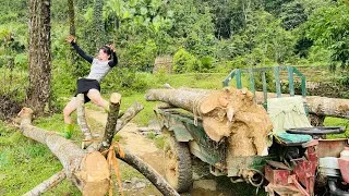 Thumbnail: The agricultural vehicle transporting wood had a skilled girl who could load the wood onto the truck