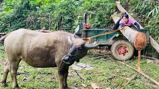 Thumbnail: agricultural transport, timber transport, rural girl logging