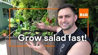Thumbnail: Grow your own salad bowl 🥬 (Fresh salad all summer!)