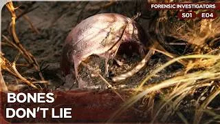 Thumbnail: Dog Walk Uncovers Decade-Old Gangland Secret | Forensic Investigators | Season 1 Episode 4