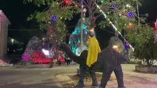 Thumbnail: Giáo xứ cồn thoi rực rỡ ánh đèn cho đêm noel 2025