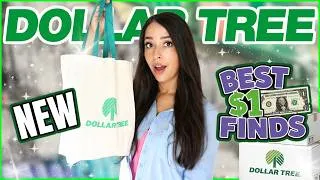 Thumbnail: RUN to Dollar Tree! 😱 BEST Finds of the MONTH (You NEED These!)