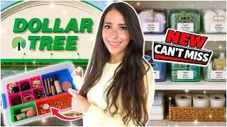 Thumbnail: 🚨 NEW Dollar Tree Finds That Are Too Good to Leave Behind! 🛒✨