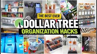 Thumbnail: 50 Dollar Tree Organization Ideas That Actually Work (Get Organized in 5 minutes) 