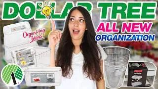 Thumbnail: Dollar Tree *NEW* Luxury Organization Organize your ENTIRE home with these items!