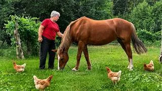 Thumbnail: Slow Life in the Village | Outdoor Fireplace Feast & Farm Work