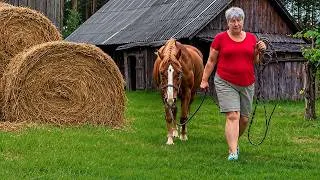 Thumbnail: The Warmth of Village Summer: Wood-Fire Feast & Traditional Canning