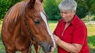 Thumbnail: The Countryside Life We Miss: Rivers, Farm Animals & Open Fires