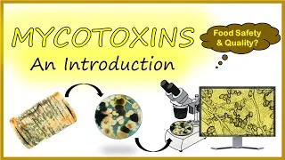 Thumbnail: Mycotoxins| Introduction|Types|Significance|Detection|Prevention|Control|@basicappliedmicrobiology​