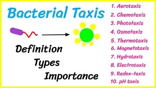 Thumbnail: Bacterial Taxis | Types | Significance | #microorganisms #microbiology @basicappliedmicrobiology