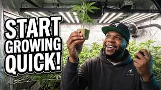 Thumbnail: The FASTEST Way To Start A Cannabis Grow | Infinity Grow: S11 EP1