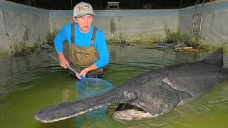 Thumbnail: Best of Bass fishing Productions: 10 HOURS!