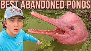 Thumbnail: Best Abandoned Ponds of Bass fishing Productions | PART 2