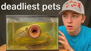 Thumbnail: Dealiest Pets of Bass fishing Productions!