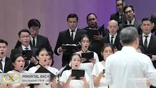 Thumbnail: IMMORTAL BACH, Knut Nystedt - BATAVIA MADRIGAL SINGERS
