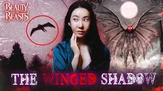 Thumbnail: Haunted Appalachia | The Red-Eyed Creature That Appears Before Disaster Strikes: Mothman