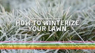 Thumbnail: How To Winterize Your Lawn | Fall Lawn Care |