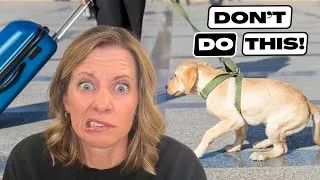 Thumbnail: The BIGGEST Mistake People Make When Their Dog is Fearful! 🚨