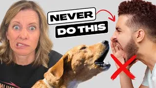 Thumbnail: The BIGGEST Mistake People Make When Their Dog Barks