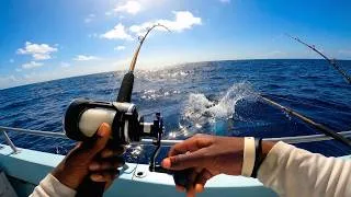 Thumbnail: Fishing on the World's CHEAPEST Charter Boat (You Won't Believe I Caught)