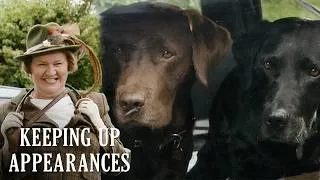 Thumbnail: Mrs Bucket Vs Animals | Keeping Up Appearances | BBC Comedy Greats