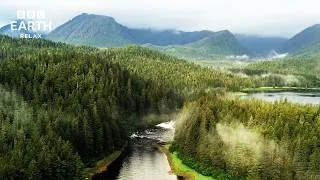 Thumbnail: Alaska Wildlife & Landscapes in 4K | Peaceful Nature Ambience | BBC Earth Relax