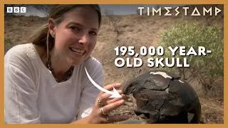 Thumbnail: Where Did Our Ancestors Really Come From? | BBC Timestamp